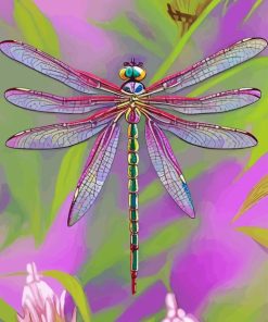 Dragonfly Purple Paint By Numbers