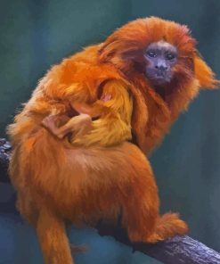 The Golden Marmoset Paint By Numbers