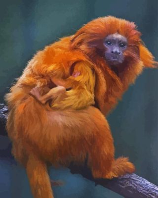 The Golden Marmoset Paint By Numbers