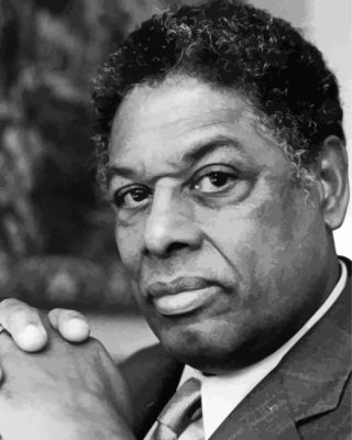 Thomas Sowell Paint By Numbers