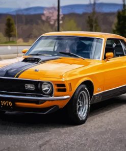 1970 Ford Mustang Paint By Numbers