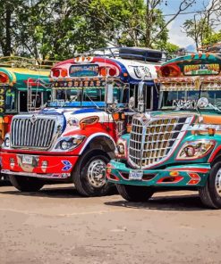 Chicken Buses Paint By Numbers