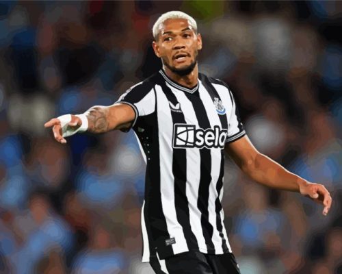 Joelinton Brazilian Paint By Numbers