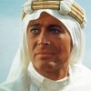 Peter OToole Paint By Numbers