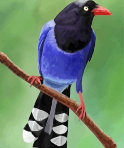 Taiwan Blue Magpie Paint By Numbers