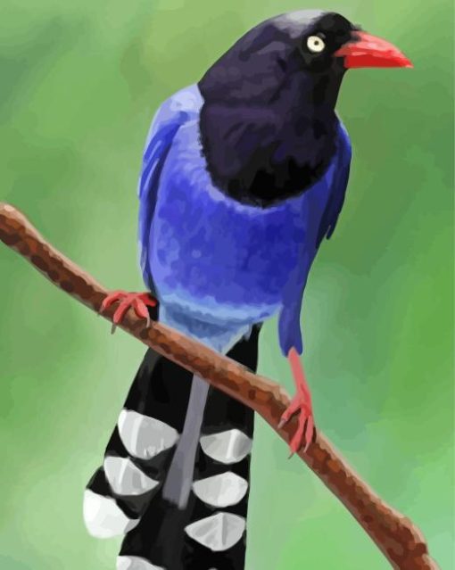 Taiwan Blue Magpie Paint By Numbers