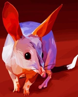 Bilby Art Animal Paint By Numbers