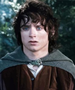 Frodo Baggins Paint By Numbers