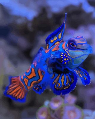 Mandarin Fish Paint By Numbers