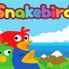 Snakebird Poster Painting By Numbers