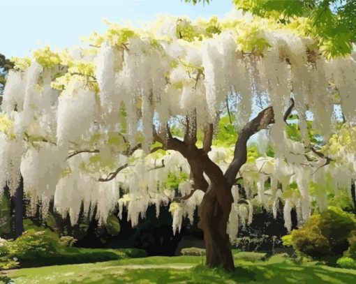 White Wisteria Tree Paint By Numbers
