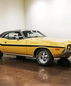 1974 Challenger Car Paint By Numbers