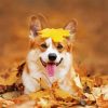 Autumn Puppy Animal Paint By Numbers
