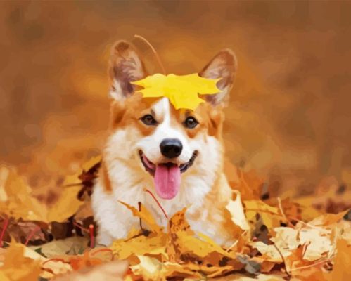 Autumn Puppy Animal Paint By Numbers