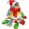 Bird Christmas Art Paint By Numbers