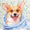 Dog In Bath Towel Art Paint By Numbers