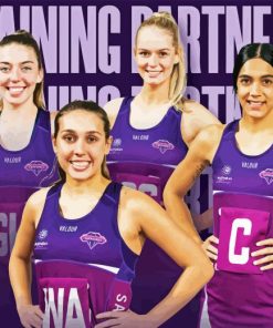 Firebirds Netball Team Paint By Numbers