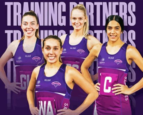 Firebirds Netball Team Paint By Numbers