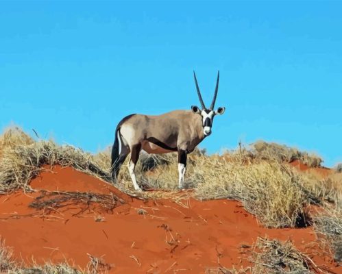 Gemsbok Animal Paint By Numbers