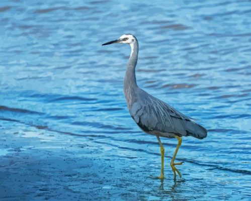 Heron By Sea Art Paint By Numbers