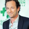 Luke Perry Actor Art Paint By Numbers