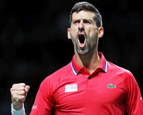 Novak Djokovic Player Paint By Numbers