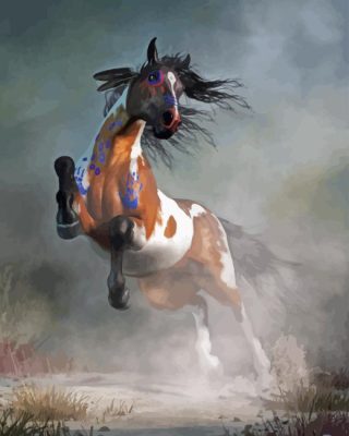 Pinto Horse Animal jumping Paint By Numbers