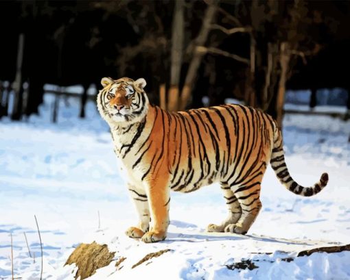 Siberian Tiger Animal Paint By Numbers