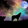 Wolf With Moon Silhouette Paint By Numbers