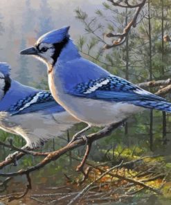 Joe Hautman Birds Paint By Numbers