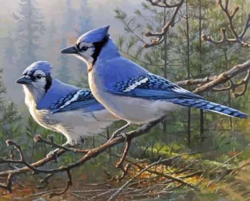 Joe Hautman Birds Paint By Numbers