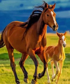 Mare and Foal Horses Paint By Numbers