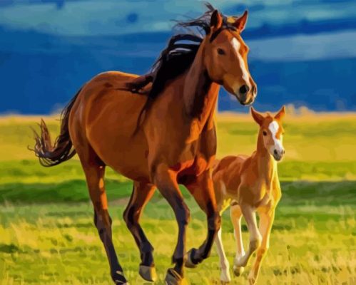 Mare and Foal Horses Paint By Numbers