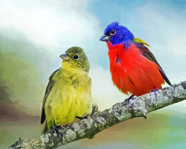 Painted Bunting Pair Birds Paint By Numbers