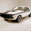 White 1974 Challenger Car Paint By Numbers