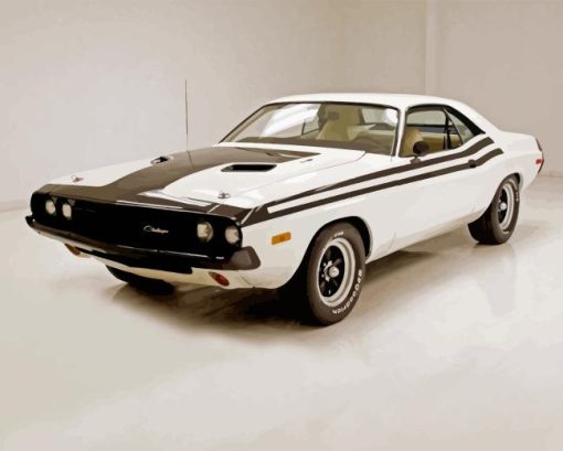 White 1974 Challenger Car Paint By Numbers