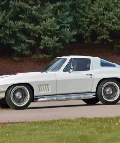 White 67 Stingray Car Paint By Numbers