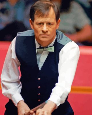 Alex Higgins Paint By Numbers