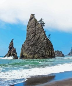 Olympic National Park Paint By Numbers