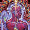 Alex Grey Paint By Numbers