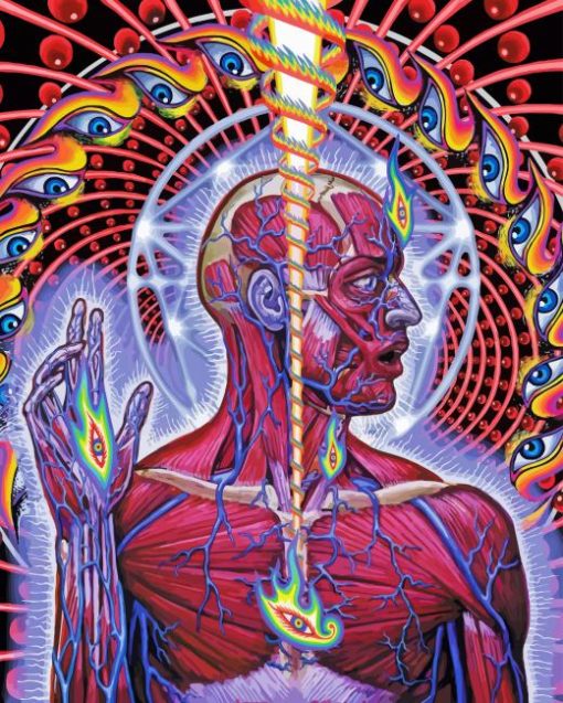 Alex Grey Paint By Numbers