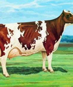 Ayrshire Cattle Paint By Numbers