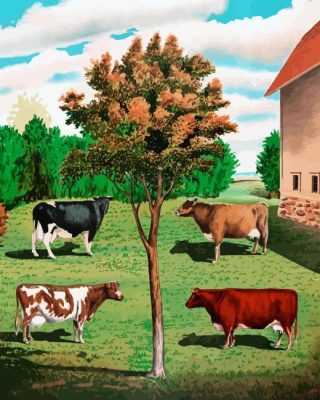 Ayrshire Cows Paint By Numbers