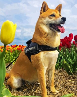 Brown Dog In Tulips Paint By Numbers