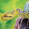 Bush Viper Paint By Numbers