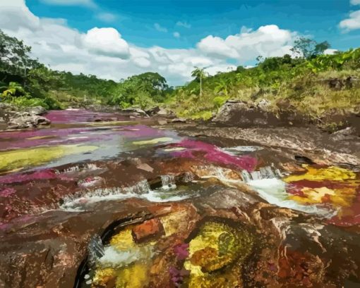 Cano Cristales Colombia Paint By Numbers