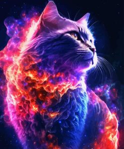 Cat Galaxy Paint By Numbers