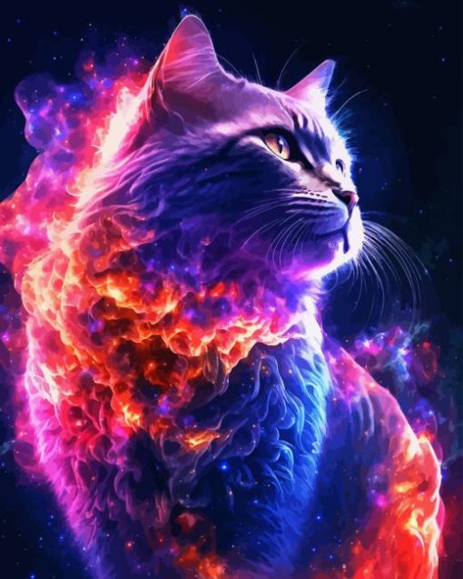 Cat Galaxy Paint By Numbers
