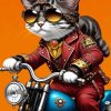 Cat On Motorcycle Paint By Numbers