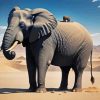 Desert Elephant Paint By Numbers
